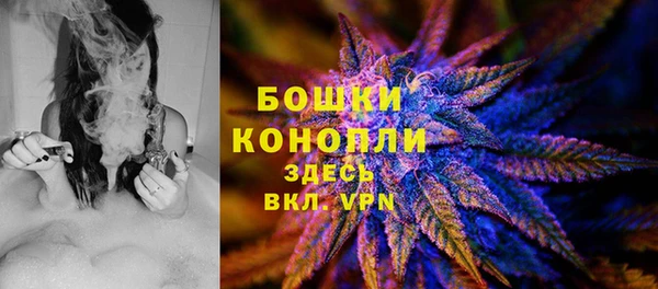 прущие грибы Абинск