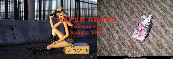 прущие грибы Абинск