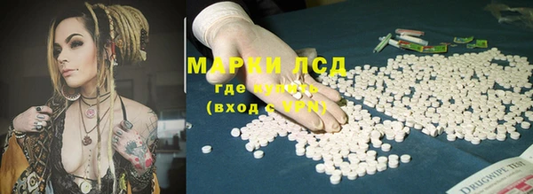 прущие крисы Гатчина