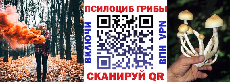 Галлюциногенные грибы GOLDEN TEACHER  Весьегонск 